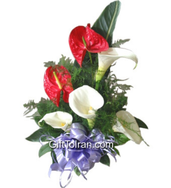 Picture of Anthurium