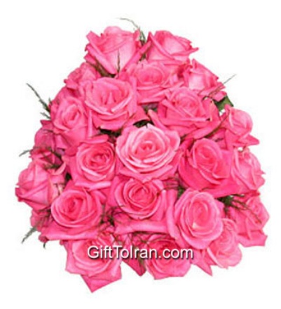 Picture of Pink Roses