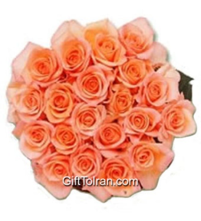 Picture of Peach Roses