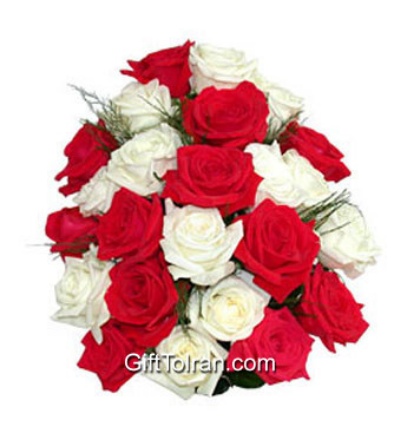 Picture of Special  Roses