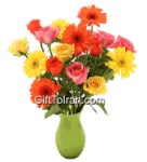 Picture of Hot Flower in Vase