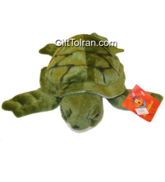 Picture of Green Tortoise