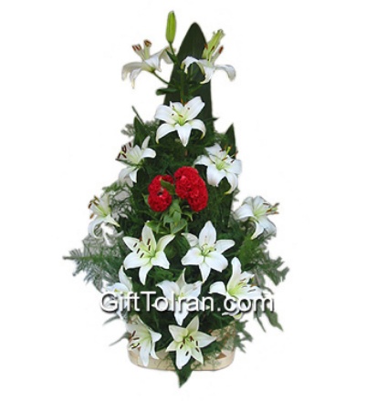 Picture of Lili Arrangement