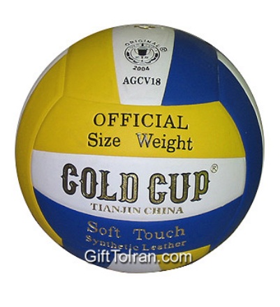 Picture of GoldCup Volleyball