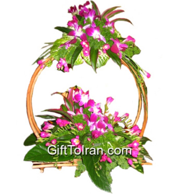 Picture of Pink Orchid