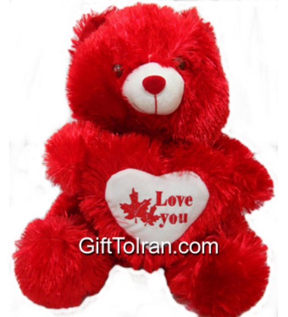 Picture of Valentine Bear I