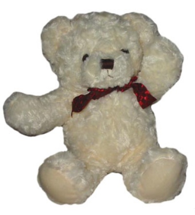 Picture of White Bear