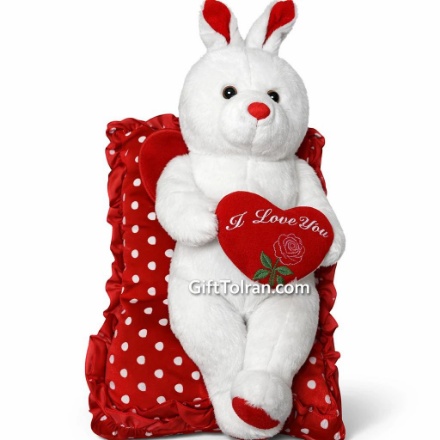 Picture of the Year of Rabbit